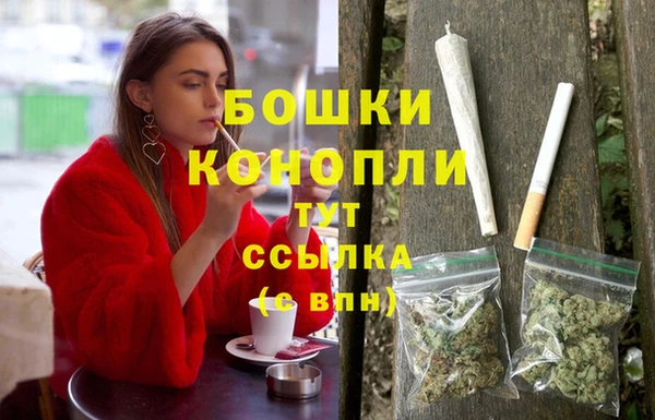 молекула духа Нязепетровск