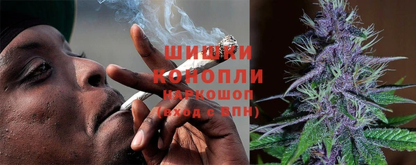 метадон Няндома