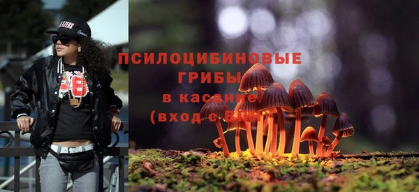марки lsd Осинники