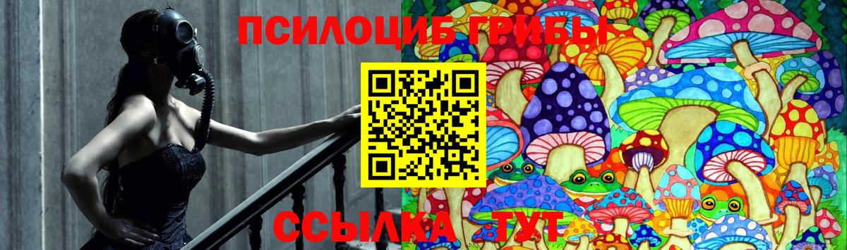 Галлюциногенные грибы прущие грибы  Галлюциногенные грибы мухоморы  Вход с VPN  Красный Сулин 